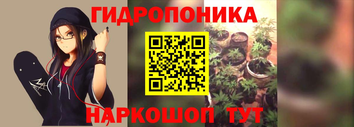 Марихуана Bruce Banner Великие Луки